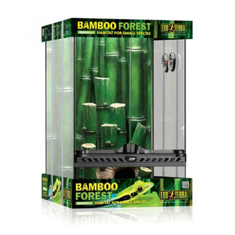 Bamboo Forest Kit Terrarium