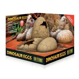 Dinosaurier Eier Höhle