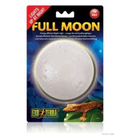 Full Moon Mondlicht