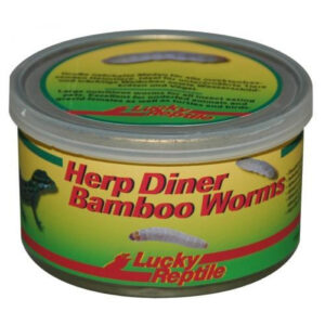 Herp Diner Bamboo Worms
