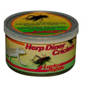 Herp Diner Crickets