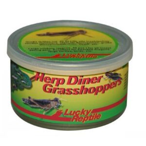 Herp Diner Grasshoppers mittel