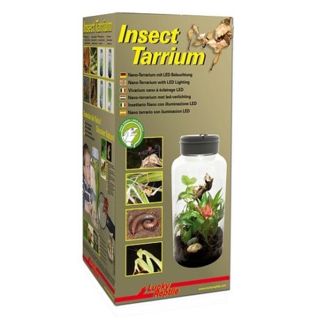 Insect Tarrium