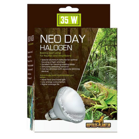Neo Day Halogen