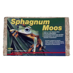 Sphagnum Moos