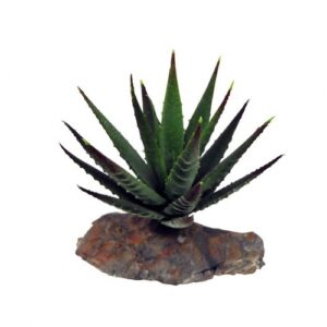 Aloe Kunstpflanze