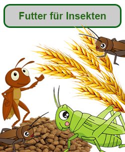 Futter für Insekten