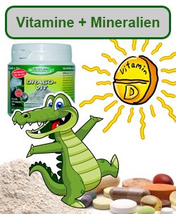 Vitamine + Mineralien
